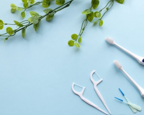 2921788_s